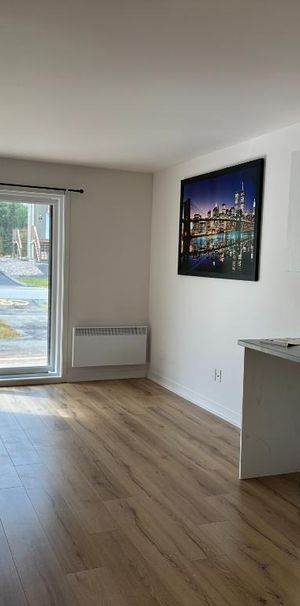 41/2 disponible 1er novembre à Mont-Blanc - Photo 1