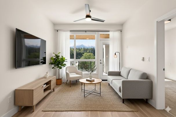 YEARLING - 205 - YE205 - Photo 1