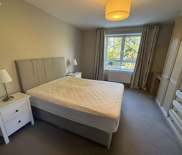 Apartment 17, Woodhaven, Milltown Bridge Road, Dublin, Milltown, Du... - Photo 2