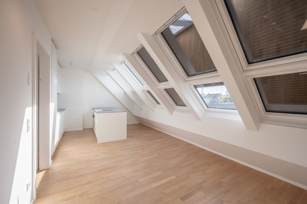 ++NEU++ Exclusive 4-room-Penthouse with Stunning Views over Vienna (1/31) - Foto 1