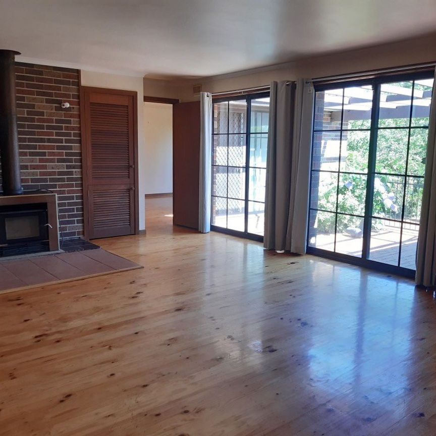 Leave The Car At Home! - Photo 1