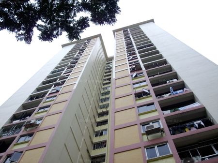 Blk 20 Holland Drive (Queenstown), HDB 5 Rooms - For Rent - Photo 5