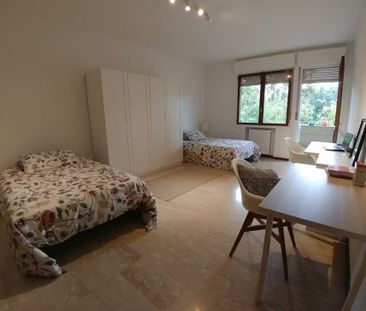 Via Luigi Pellizzo, Padova, Veneto 35128 - Photo 5