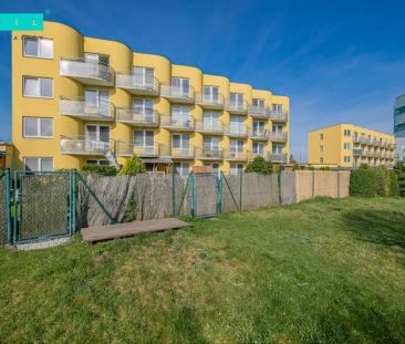 Pronájem příjemného bytu 1+kk s balkonem a sklepem v cihlovém domě ... - Photo 2