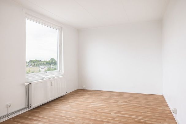 Thomsons väg 34 C, Kryddgården - Foto 1