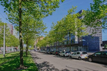 Te huur: Appartement Laan op Zuid in Rotterdam - Foto 4