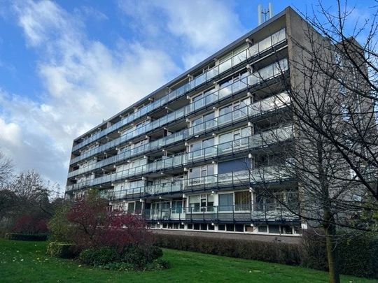 Te huur: Appartement Mozartstraat 214 in Almelo - Foto 1