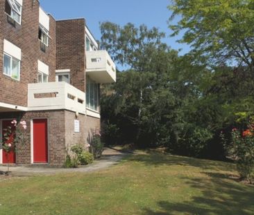 Park Drive, Woking - Photo 5