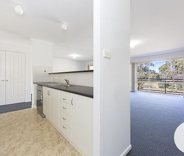 33/34 Leahy Cl, Narrabundah ACT 2604 - Apartment For Rent | Domain - Photo 1