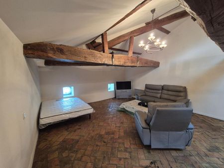 Location Appartement 1 pièce 53m² MACON 71000 - Photo 3