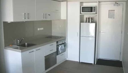 3 Bedroom Furnished Central City Apartment - Photo 4