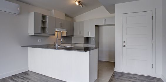 CONDO 4 1-2 NIVEAU TERRASSE + CABANON - Photo 3