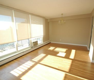 2 bedroom unit close to Cite Collegiale and Ogilvie/Bathgate - Photo 4