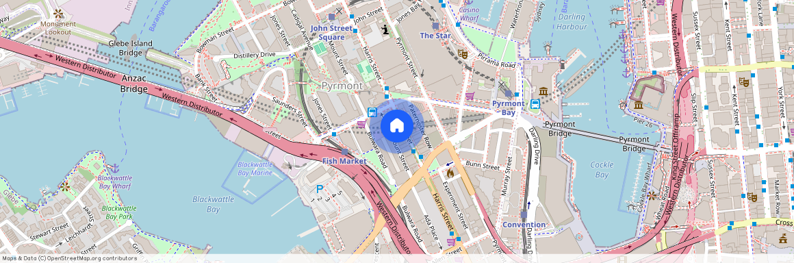 163 Harris St, Pyrmont, Sydney, New South Wales 2009