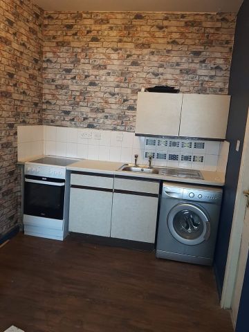 Studio Flat, Green Lane, B9 - Photo 4