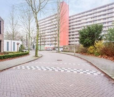 De Koppele 0ong, 5632 Eindhoven, Nederland - Foto 1