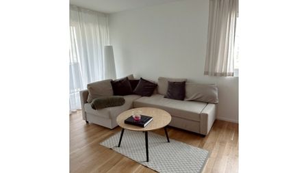 3½ Zimmer-Wohnung in Wetzikon (ZH), möbliert, auf Zeit - Photo 3