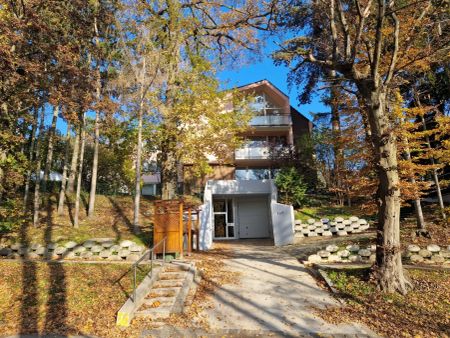 PÖTZLEINSDORFER PARK - LOFTARTIGE ARCHITEKTENWOHNUNG - TRAUMHAFTE LAGE - GARTENNUTZUNG - GRÜNBLICK - 5 ZIMMER + grosser BALKON - Foto 4