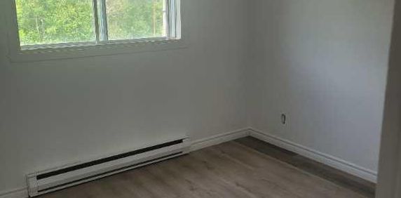 4 1/2 à louer 1350$ st Jérôme - Photo 2