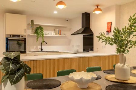 Premium Ensuite (Floors 10-19) - Photo 4