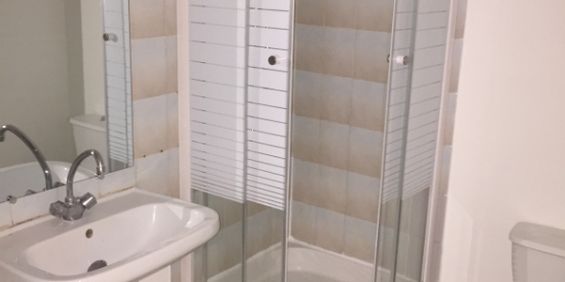 Location Appartement 1 pièce 20m² - Photo 3