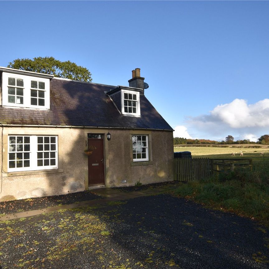 5 Rachelfield Farm Cottages - Photo 1