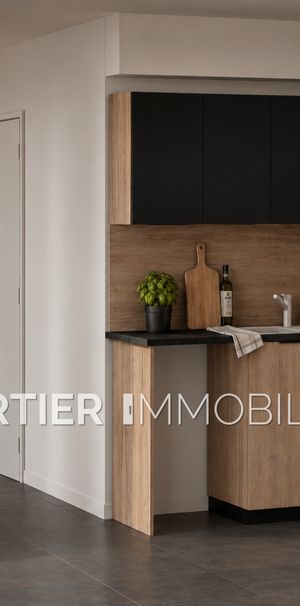 Location Appartement 1 pièce 29m² VILLENEUVE LOUBET 06270 - Photo 1