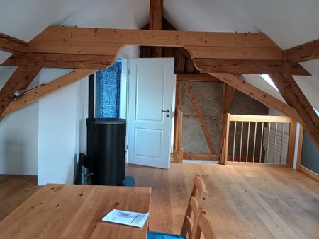 APPARTEMENT 1 PIÈCE À MATTSTETTEN (BE), MEUBLÉ, TEMPORAIRE - Photo 5