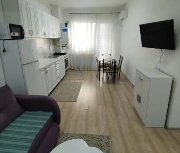 Apartament, 2 camere open-space, 50 mp, Gara, de inchiriat, Arka Residence, Cod 163416 - Photo 3