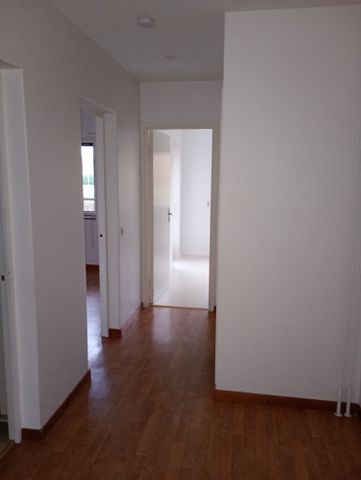 Ekbacken, Asarum - Foto 4