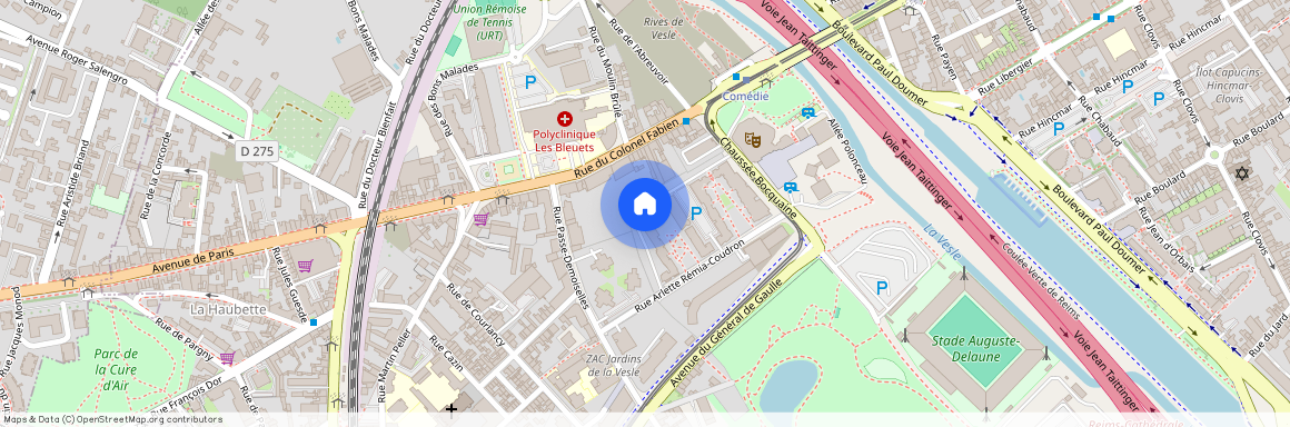 022 RUE ARLETTE REMIA-COUDRON, 51100, Reims