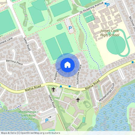 19 Anglers Way, Wattle Downs, Manukau City