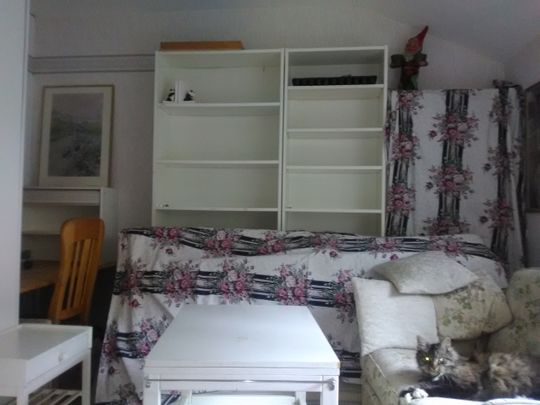 Trumslagaregatan, Linköping - Photo 1