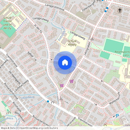 8047, Zürich, Altweg, 9