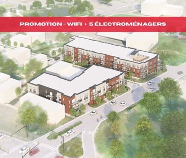 Appartement Salaberry-de-Valleyfield À Louer - Photo 1