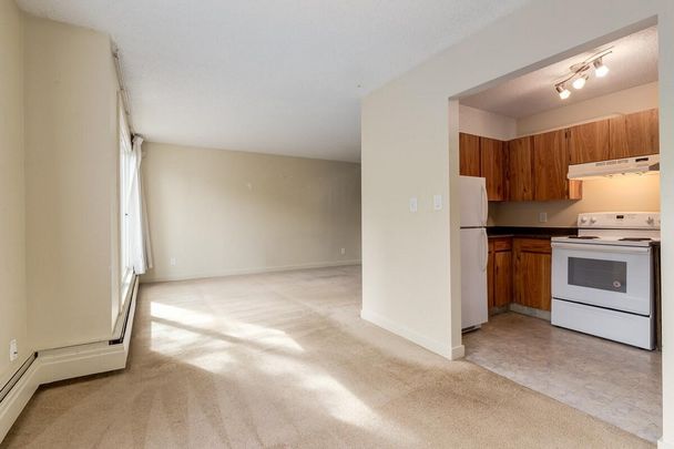 Classic Suite - 1 Bedroom - Photo 1