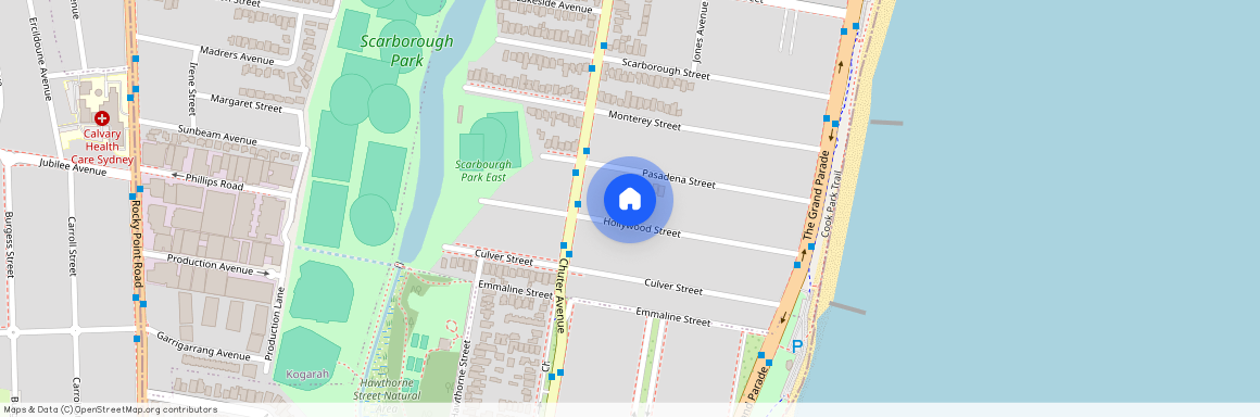 45 Hollywood Street, NSW 2217, Monterey