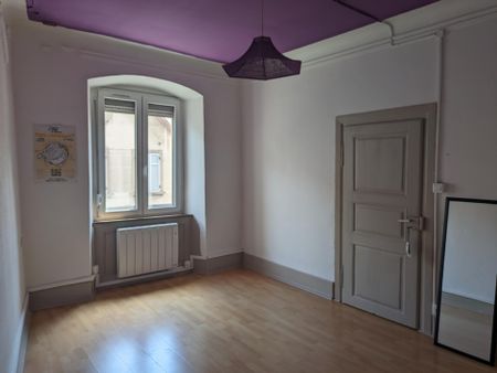 Location Appartement 3 pièces 64m² ALTKIRCH 68130 - Photo 3
