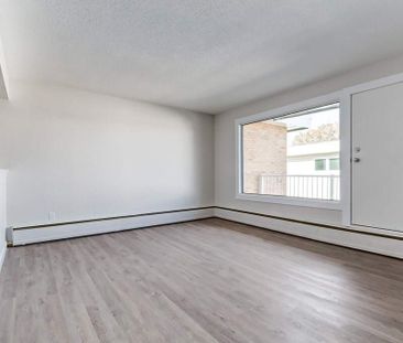 Renovated Suite - 1 Bedroom - Photo 4