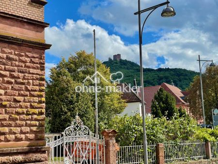 Wunderschöne 154 qm Altbau-Wohnung frisch renoviert mit Garten in herrlicher Altstadt Lage - Foto 2