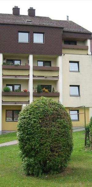 3313 Wallsee, Frieden 3 - Photo 1