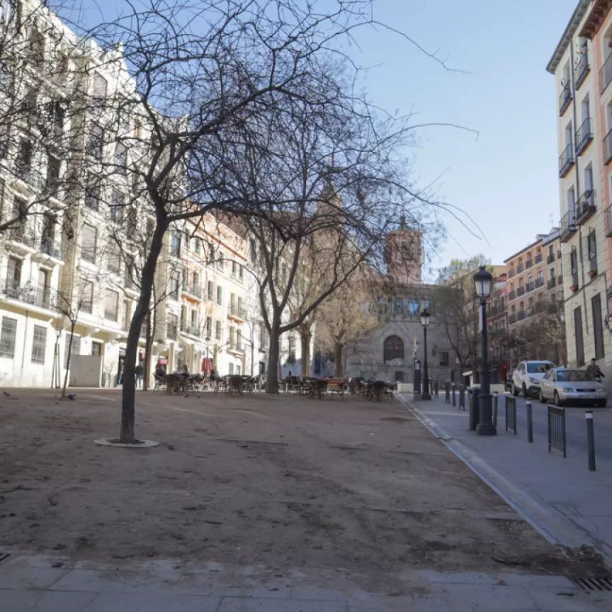 Studio for rent in Palacio, Madrid. - Photo 1