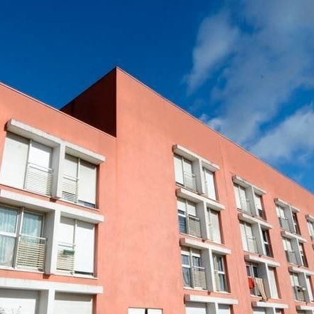 Résidence étudiante Le Rodrigue - Photo 4