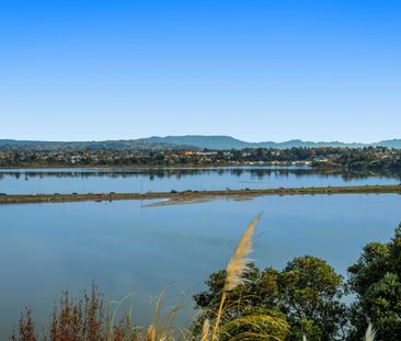 Waterfront Beauty - Maungatapu - Photo 2