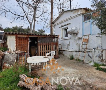Μονοκατοικία για ενοικίαση Τριανδρία (Τριανδρία - Δόξα - Κρυονέρι) - Φωτογραφία 3