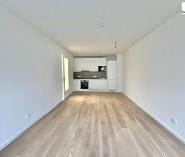 360° TOUR// NEUBAU-MIETWOHNUNG nahe SONNBERGMARKT - Photo 1