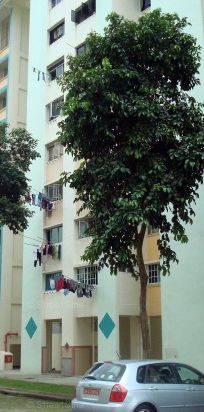 Blk 728 Khatib Spring (Yishun), HDB 4 Rooms - For Rent - Photo 1