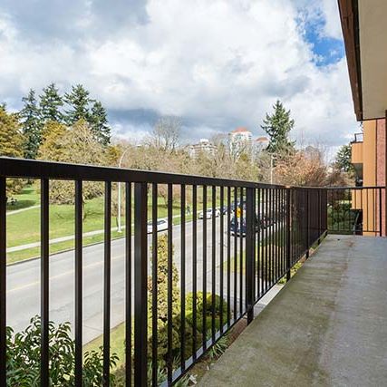 Park Villa Apartments - 1 Bedroom - Photo 1