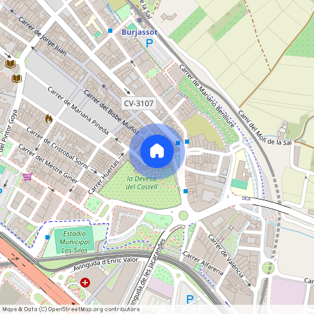 Carrer de Carolina Álvarez, Burjassot, Valencian Community 46100