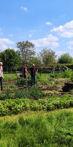 Gite met kachel in De Groene Doening - Foto 3